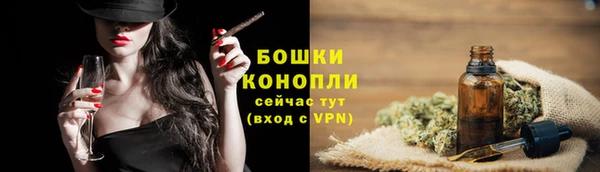 ALPHA PVP Вяземский