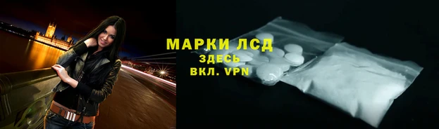 гашик Вязники