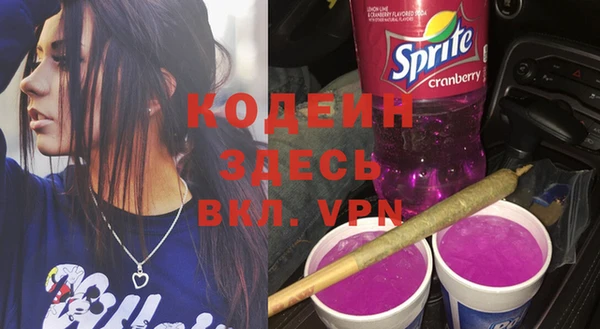мдпв Вязьма
