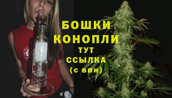 ALPHA PVP Вяземский