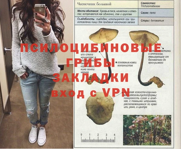 гашик Вязники