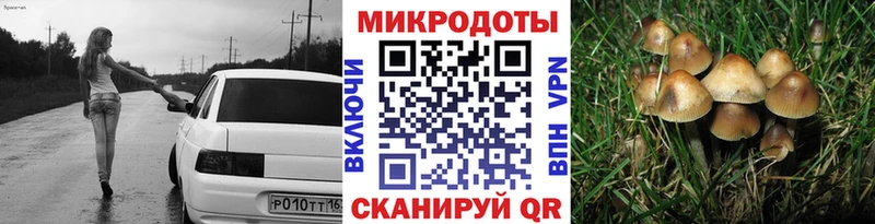 Галлюциногенные грибы мицелий Усть-Лабинск