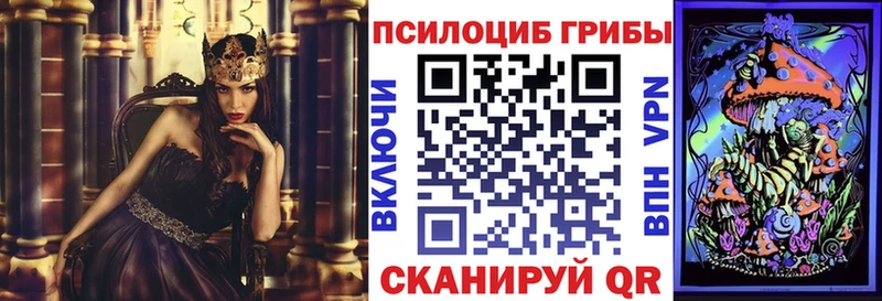 Галлюциногенные грибы Cubensis купить наркотики сайты Усть-Лабинск