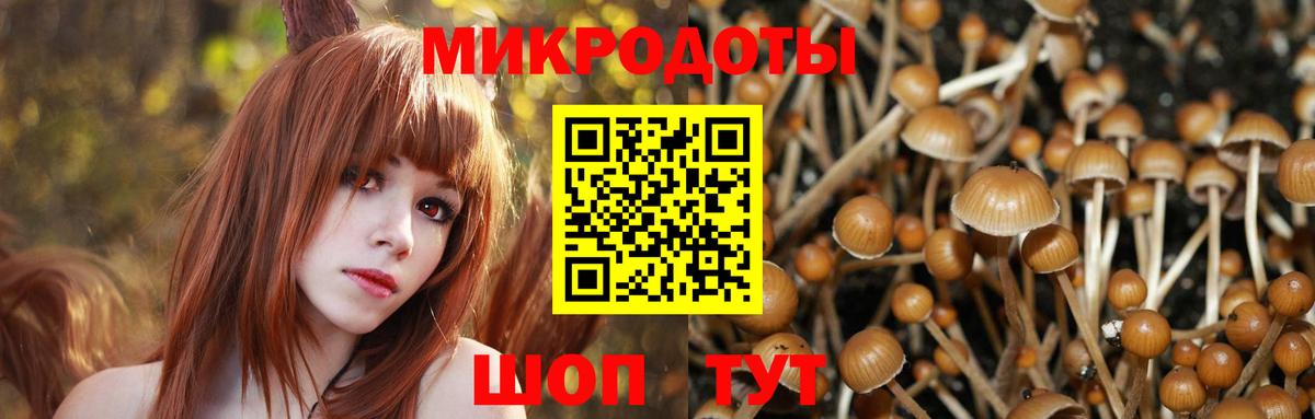 Псилоцибиновые грибы GOLDEN TEACHER Усть-Лабинск